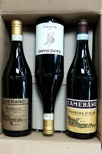 Blandlåda (6 fl) röda Piemonteviner – Camerano