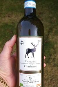 En låda vitt (6 fl): Piemonte Chardonnay 159 kr/fl